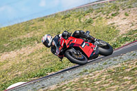 cadwell-no-limits-trackday;cadwell-park;cadwell-park-photographs;cadwell-trackday-photographs;enduro-digital-images;event-digital-images;eventdigitalimages;no-limits-trackdays;peter-wileman-photography;racing-digital-images;snetterton;snetterton-no-limits-trackday;snetterton-photographs;snetterton-trackday-photographs;trackday-digital-images;trackday-photos